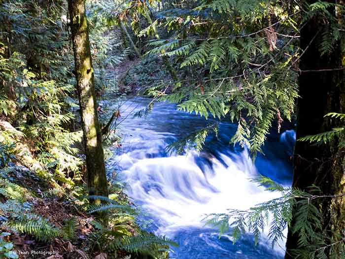 Kerry Park Creek