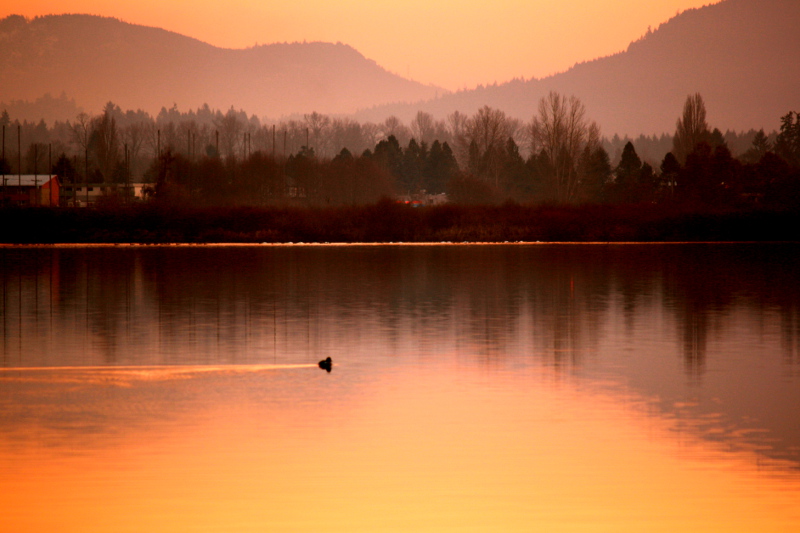 Somenos Lake Sunset