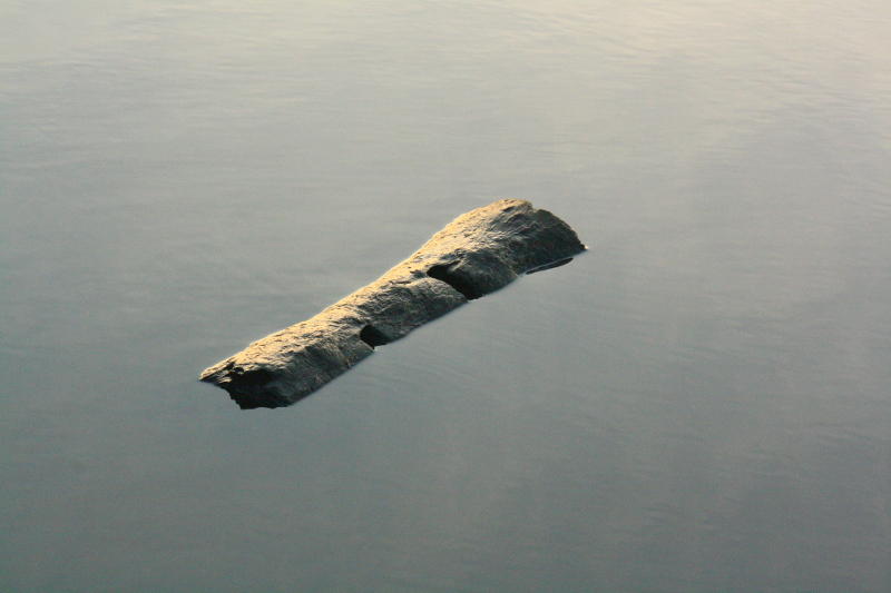 Floating Log