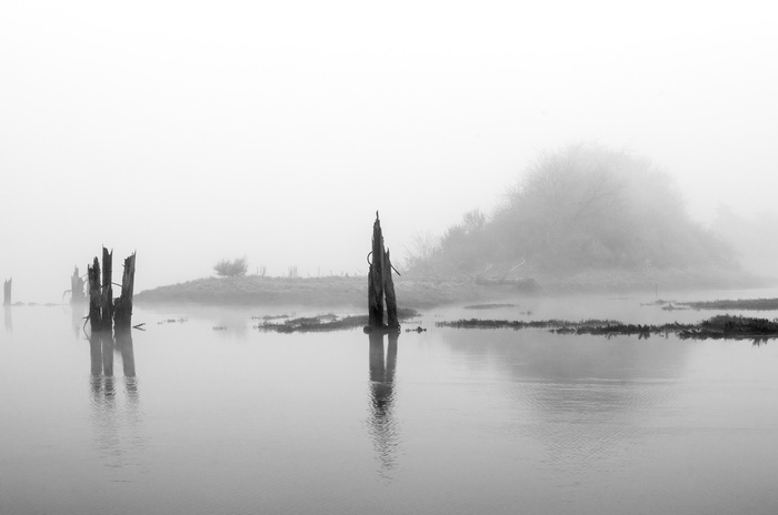201201-bc-cowichan bay fog2265.jpg