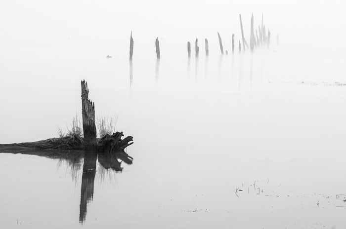 201201-bc-cowichan bay fog2279.jpg
