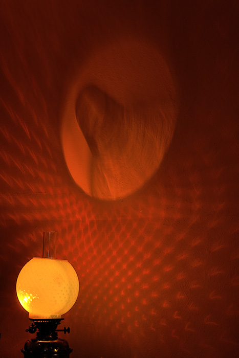 Lamp Reflections