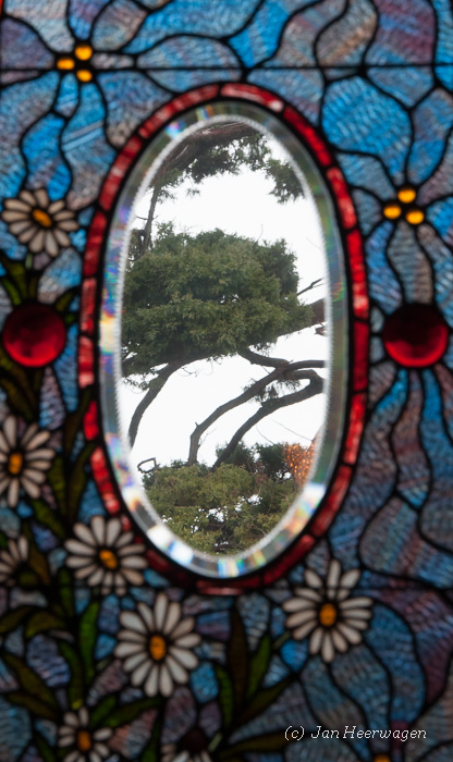 Glass n Tree