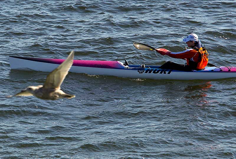 Piper's Lagoon- Kayaker