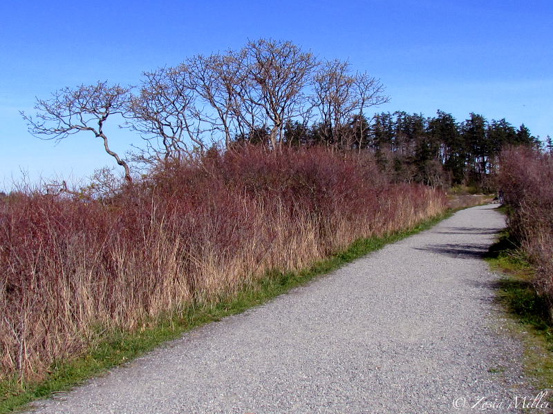 Pipers Lagoon Trail