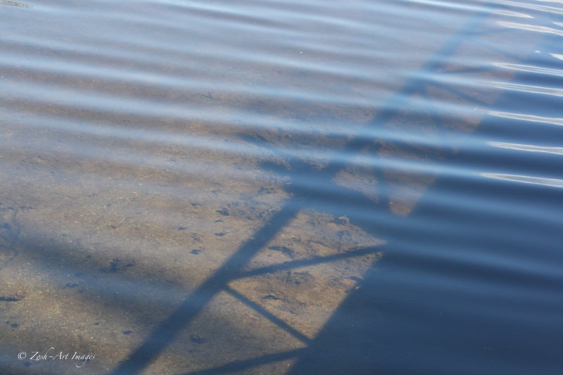 Someons Lake Shadows