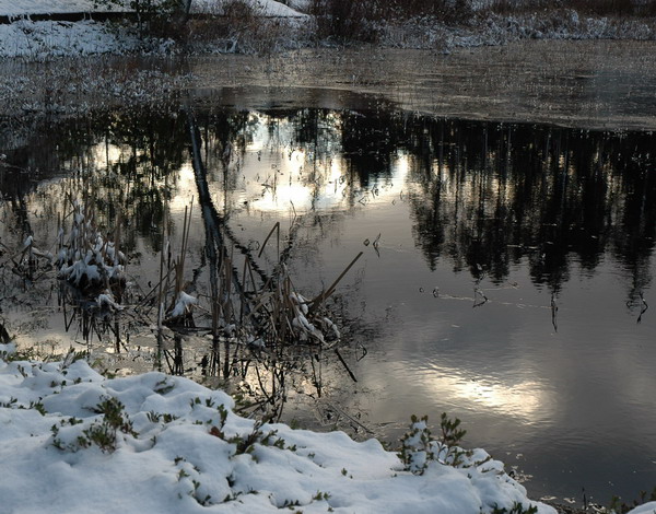Reflections on Winter