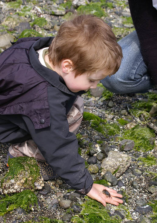 Boy Meets Crab