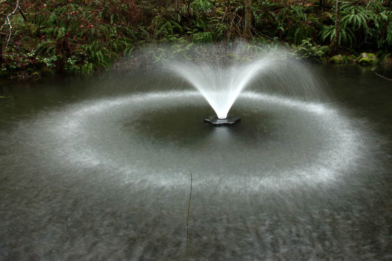 Pond Spray