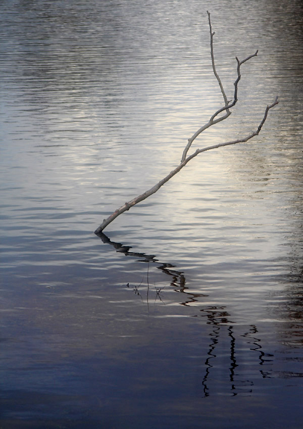 Reflected branch
