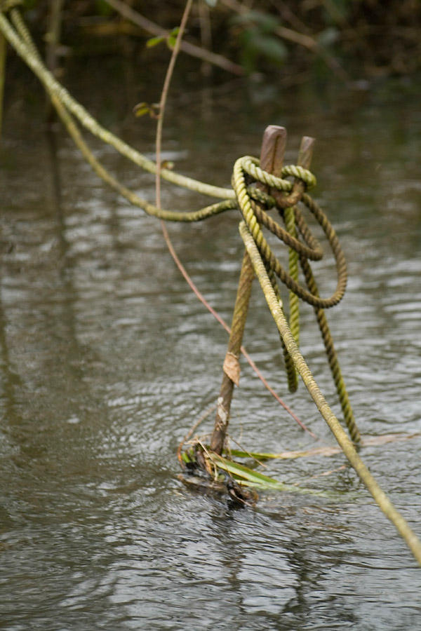 In the river