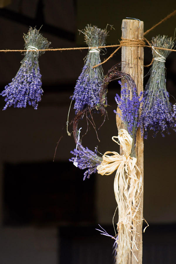 Lavender bunches