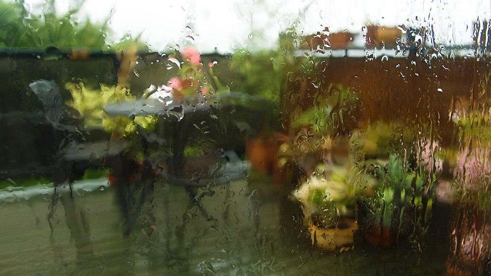14 Aug... Another rainy day