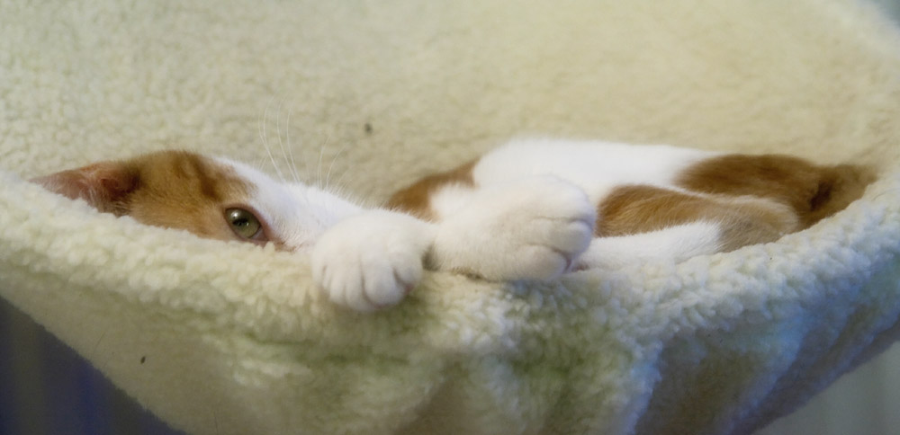 I can see you  !