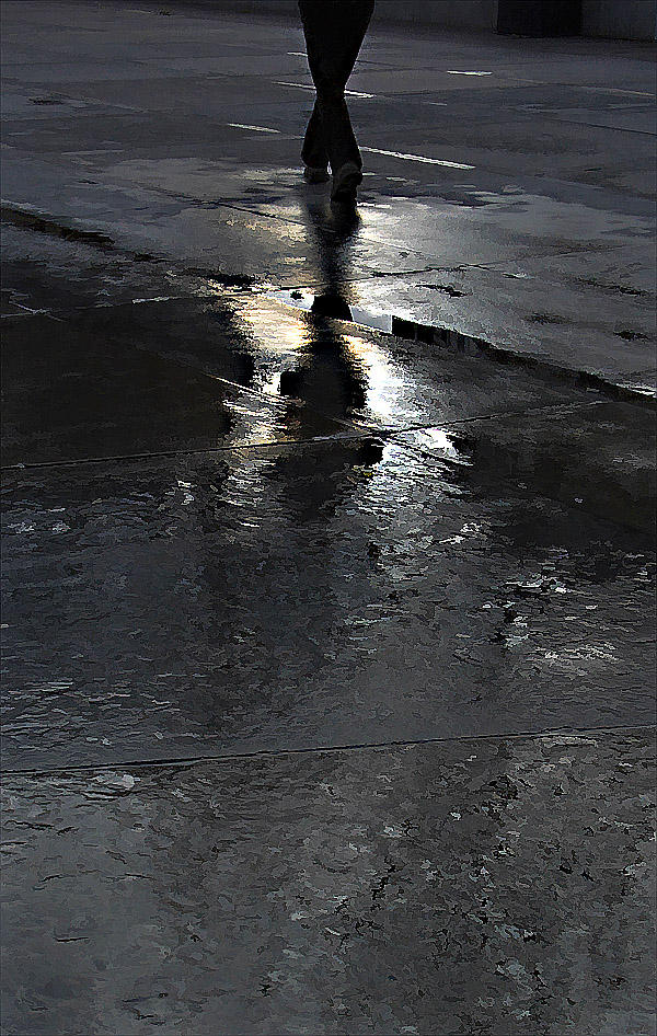 Shadows 2