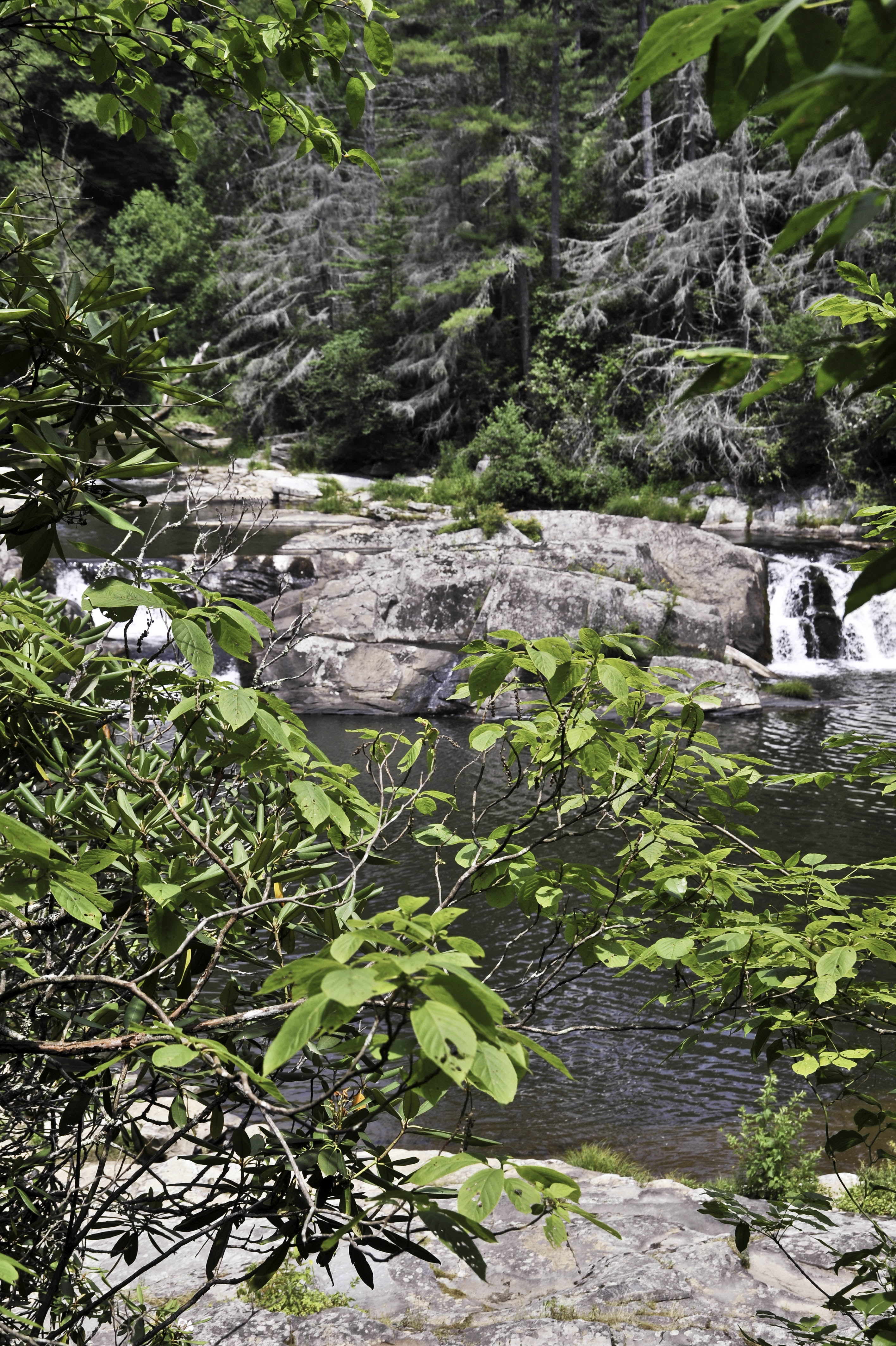 View from Erwin View at Lower Falls