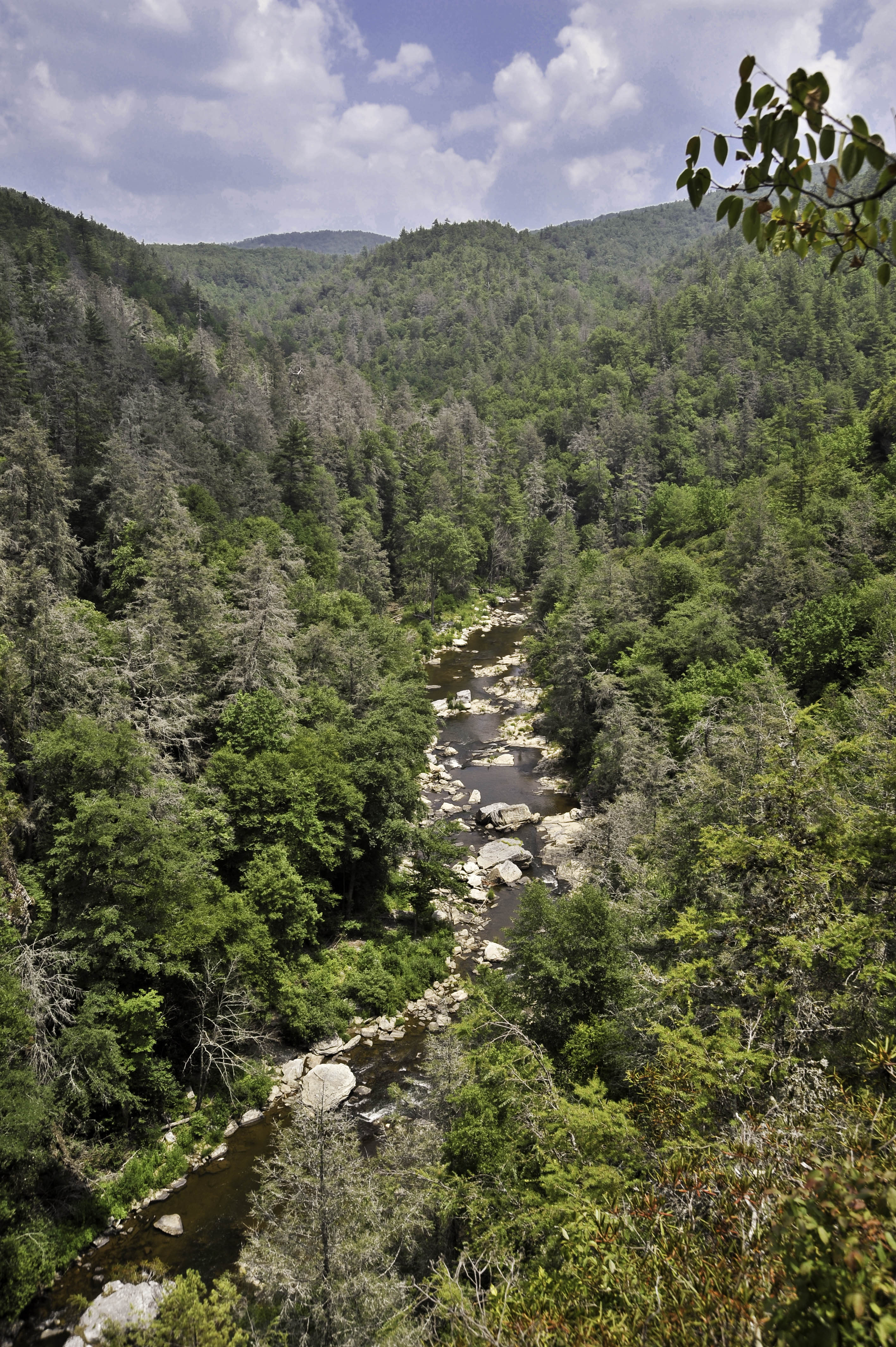 View From Chimney Rock Overlook