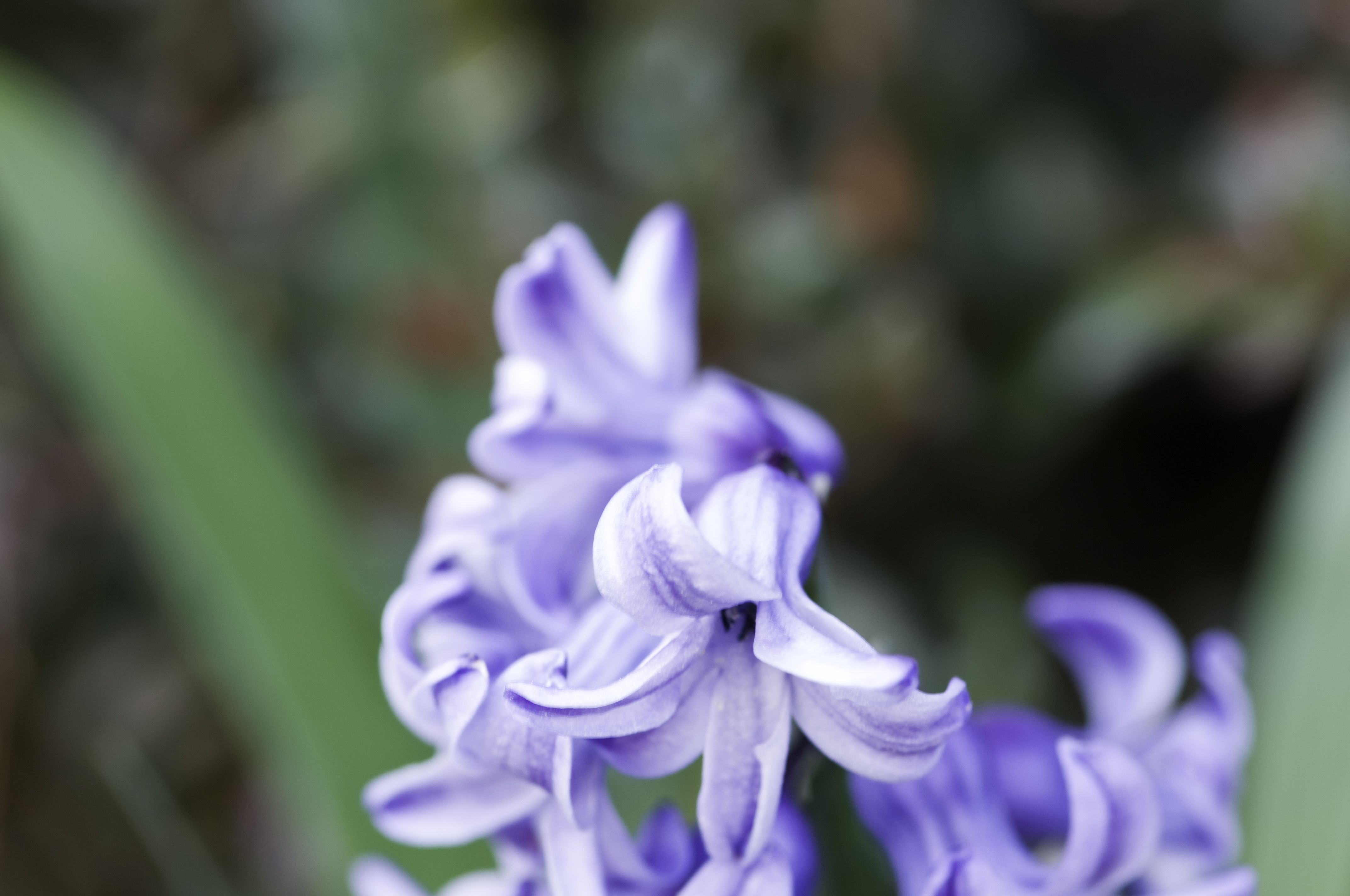 DSC_0022.jpg