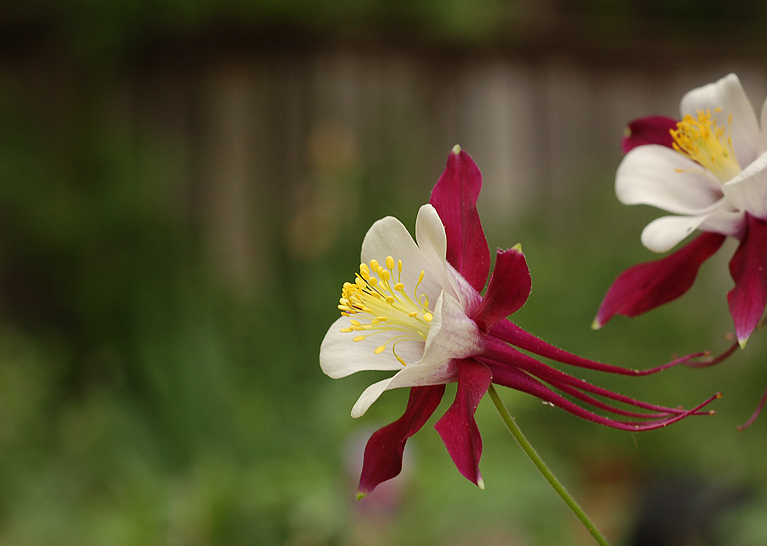 DSC_3154sm.jpg