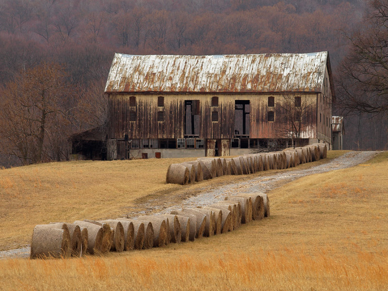 Catoctin Barn2.jpg