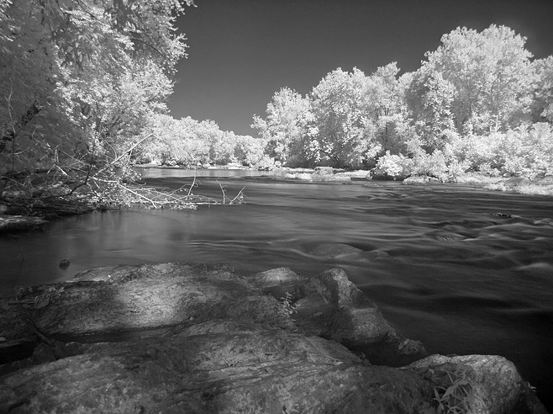 wMonocacy4 IR.jpg