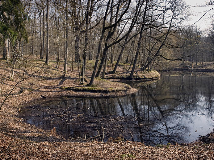 Ph1593.jpg
