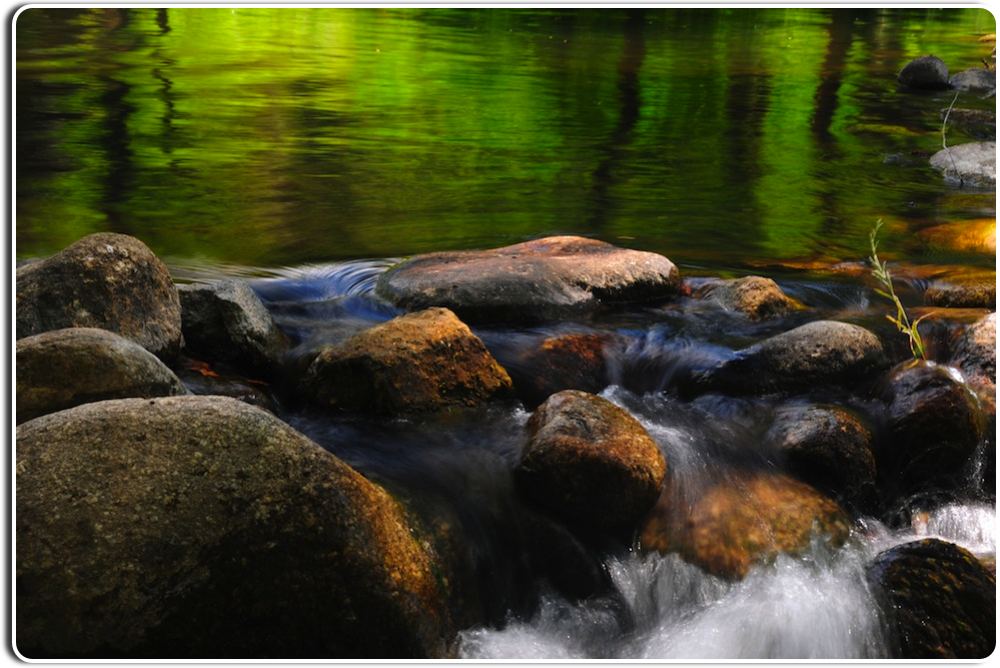 The Carmel River