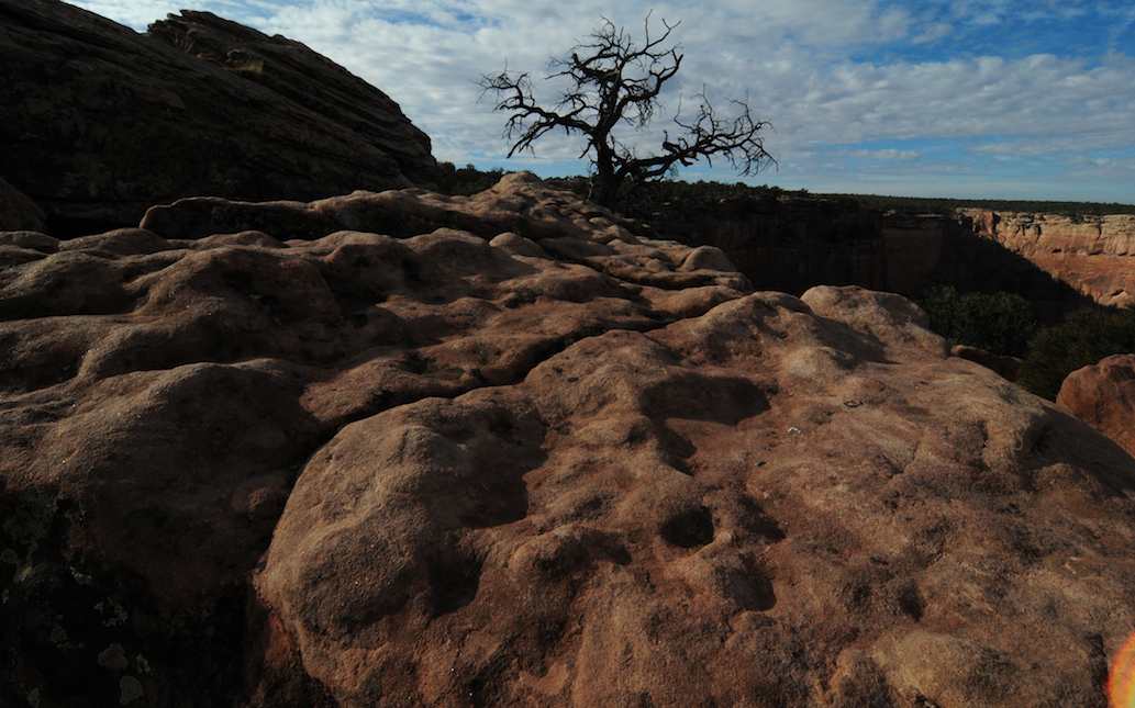 Canyon de Chelly Still Life