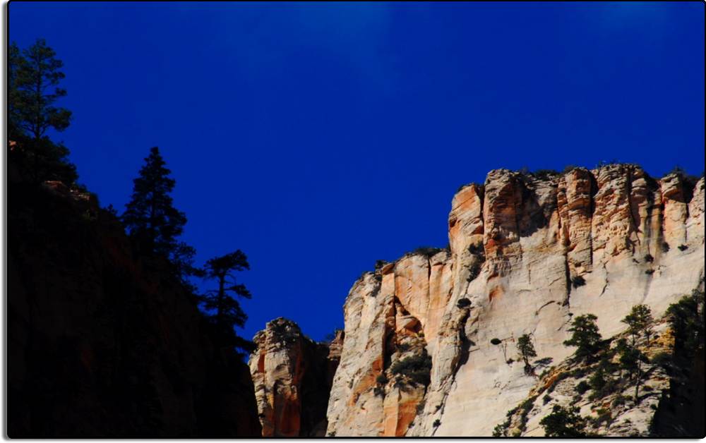 We Enter Zion National Park