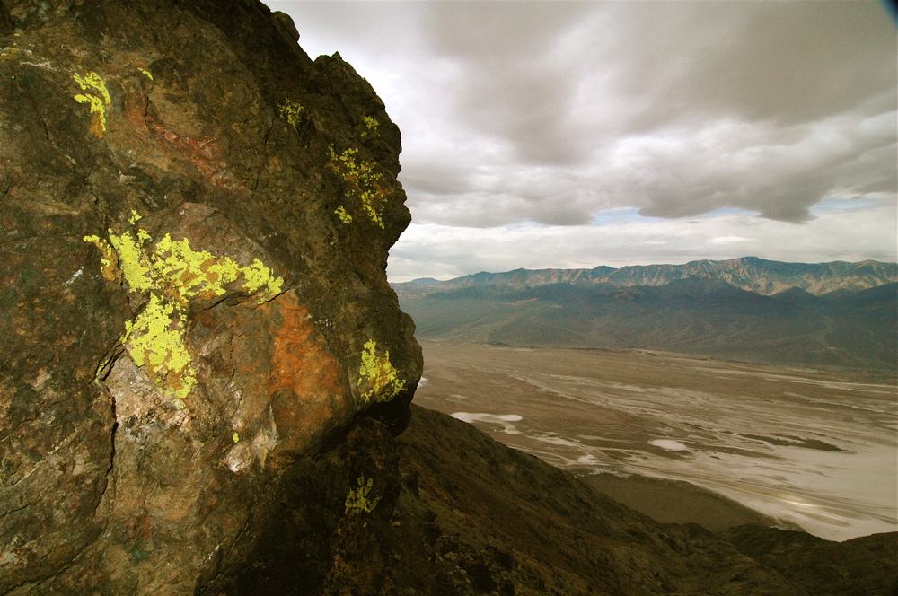 Lichen on Rocks at Dantes View