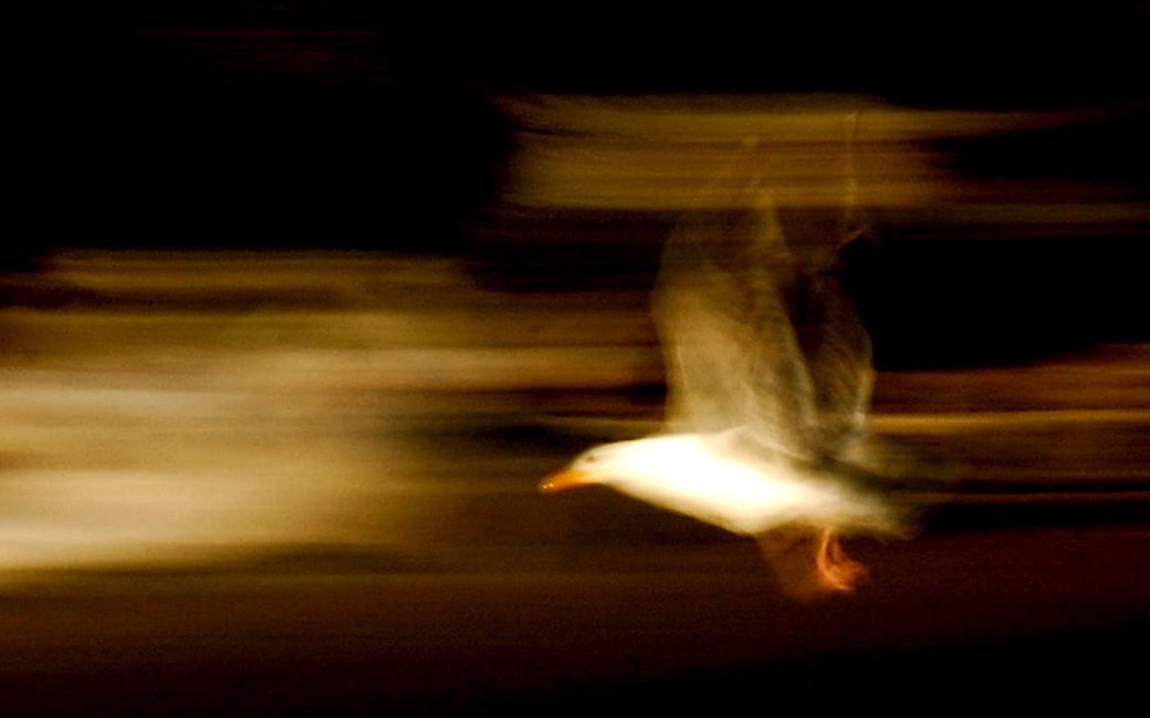 The Magic Moment of Flight
