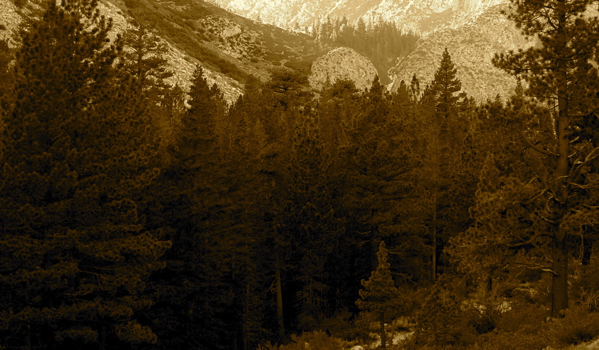 View up the North Fork