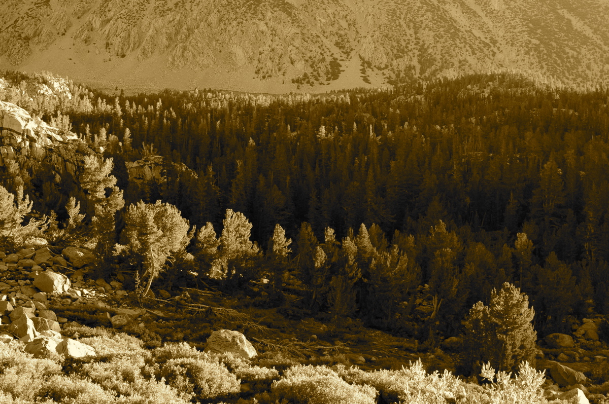Looking back toward my campsite