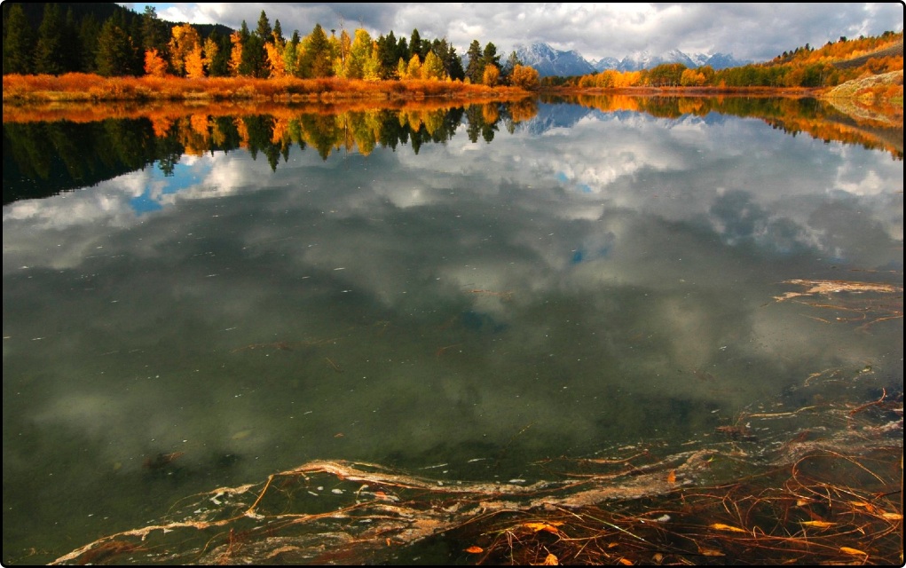 Oxbow Bend, the Tetons