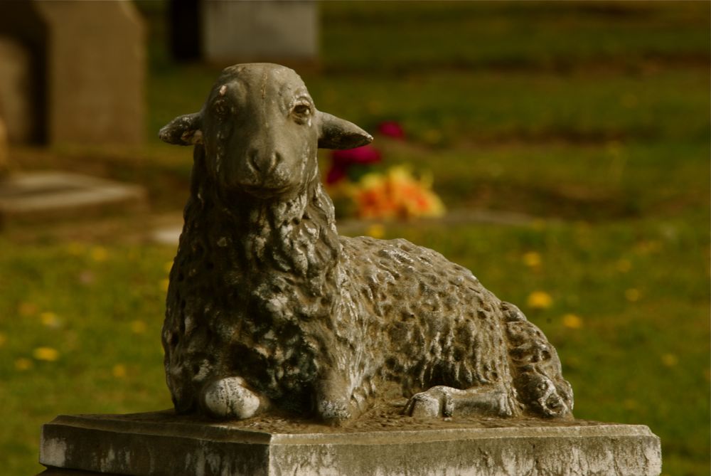 Resting Place