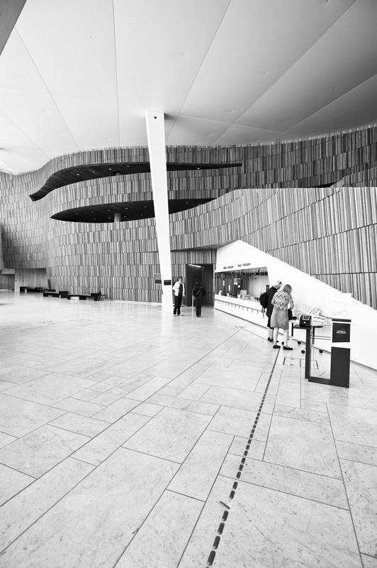 _DSC3935bw.jpg