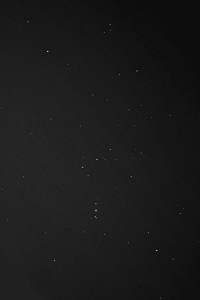 Cheung Sha Wan - Orion Constellation yy