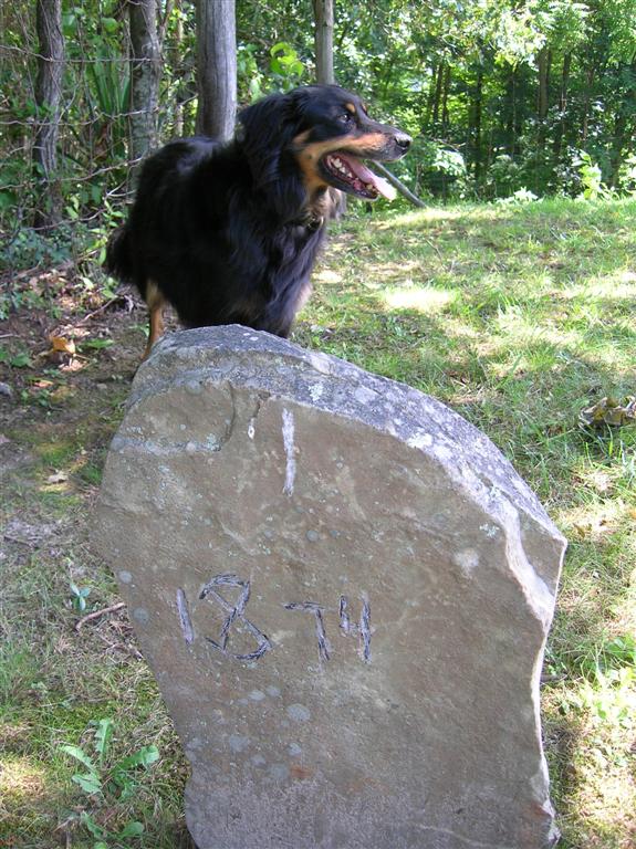 Stone Marked 1874