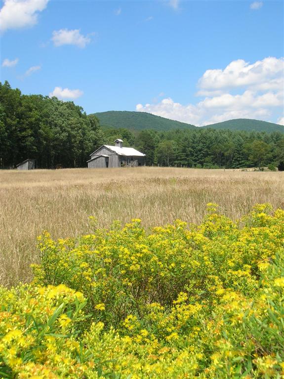 Old Barn