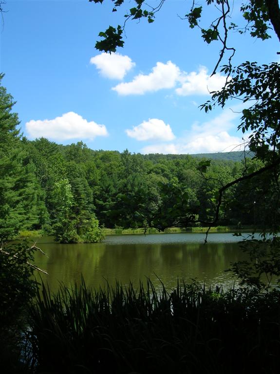 Farm Pond