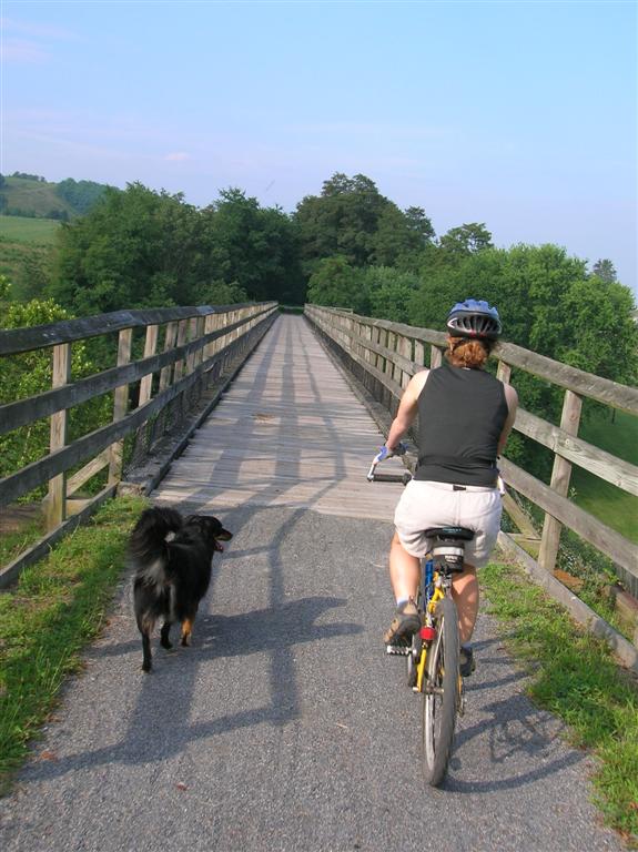 Crossing Trestle