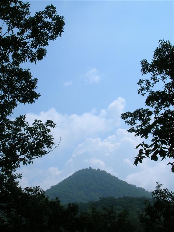 Molly's Knob