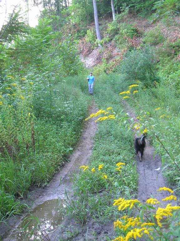 Mining Road