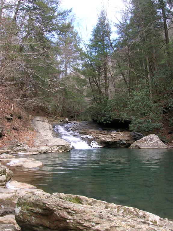 Swimming Hole