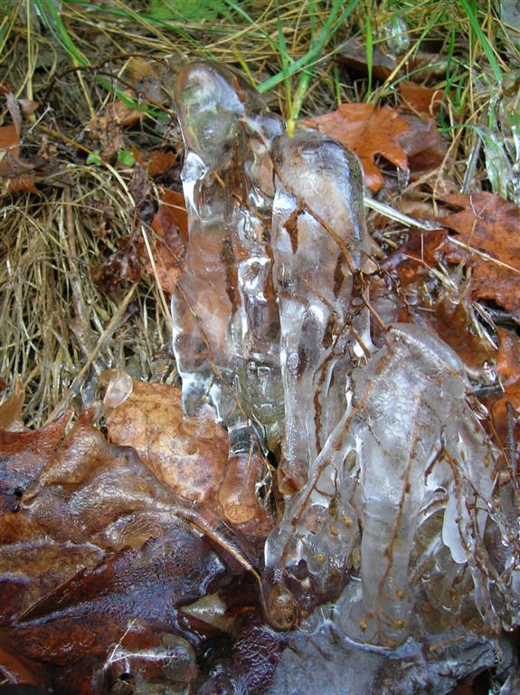 Ice Sculpture