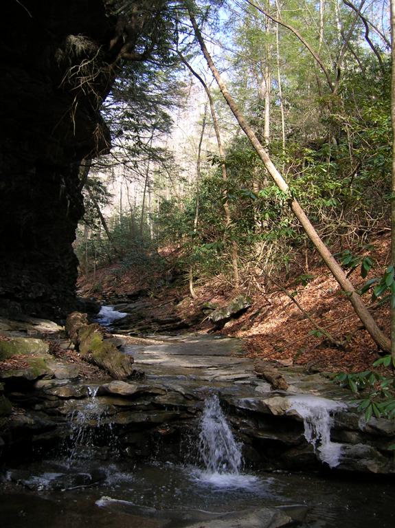 Up the Trail