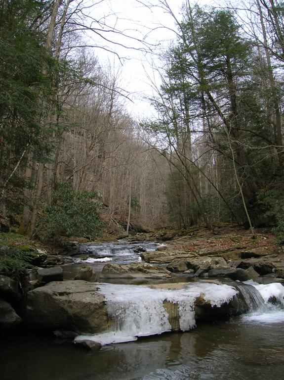 Center Creek