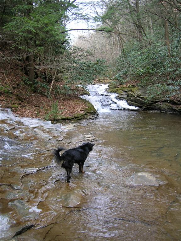 Chazzy Tests the Water