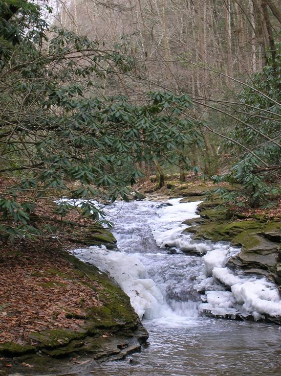 Frozen Rapids