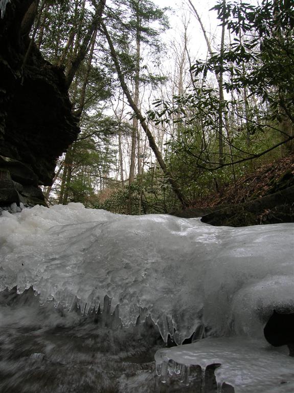 Center Creek - Breaks Park - January 25, 2009